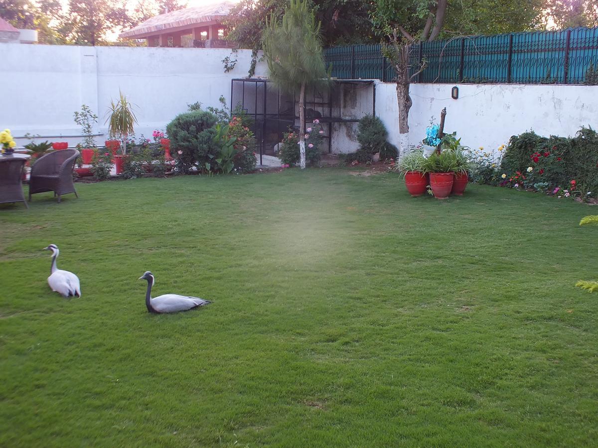 Capetown Guest House Islamabad Luaran gambar